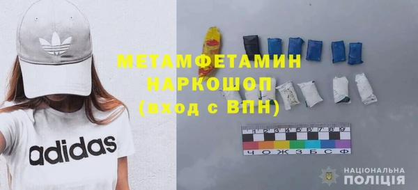 молекула духа Богданович
