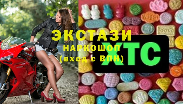 молекула духа Богданович