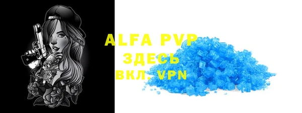 молекула духа Богданович