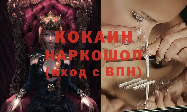 прущие грибы Бронницы
