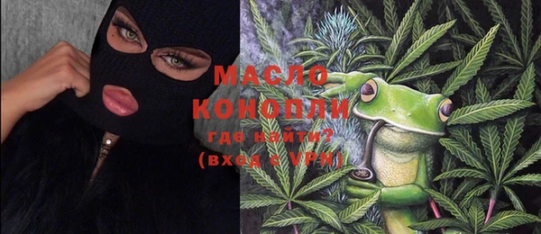 молекула духа Богданович