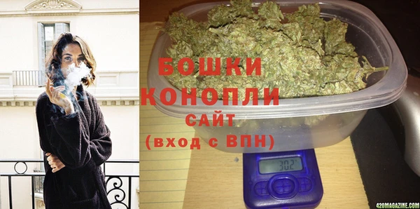 молекула духа Богданович