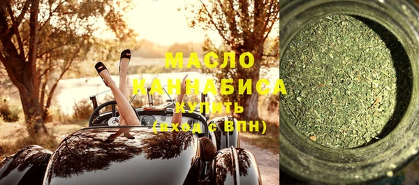 молекула духа Богданович