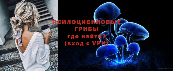 молекула духа Богданович