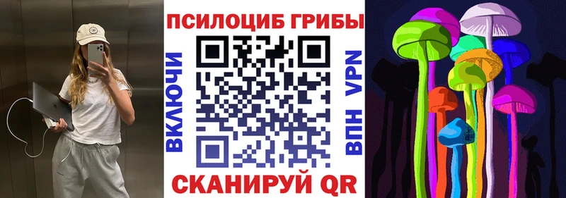 Купить  Нижний Ломов  Псилоцибиновые грибы Psilocybe 
